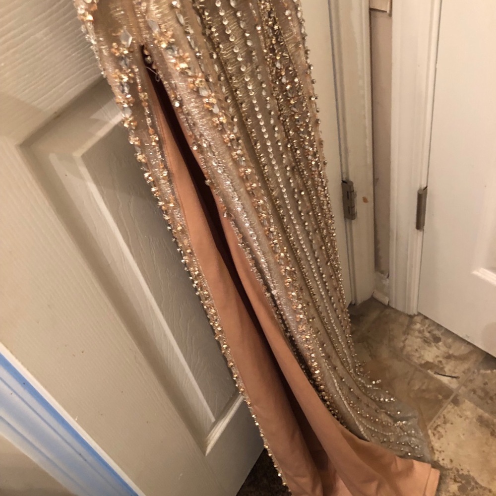 Terani couture dress/ Badgley Mischka heels - Picture 4 of 8